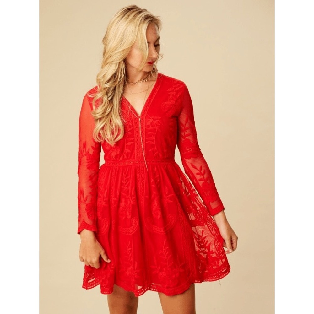 Altar'd State Red Floral Lace Embroidered Mesh Mini Dress M Coquette Whimsigoth